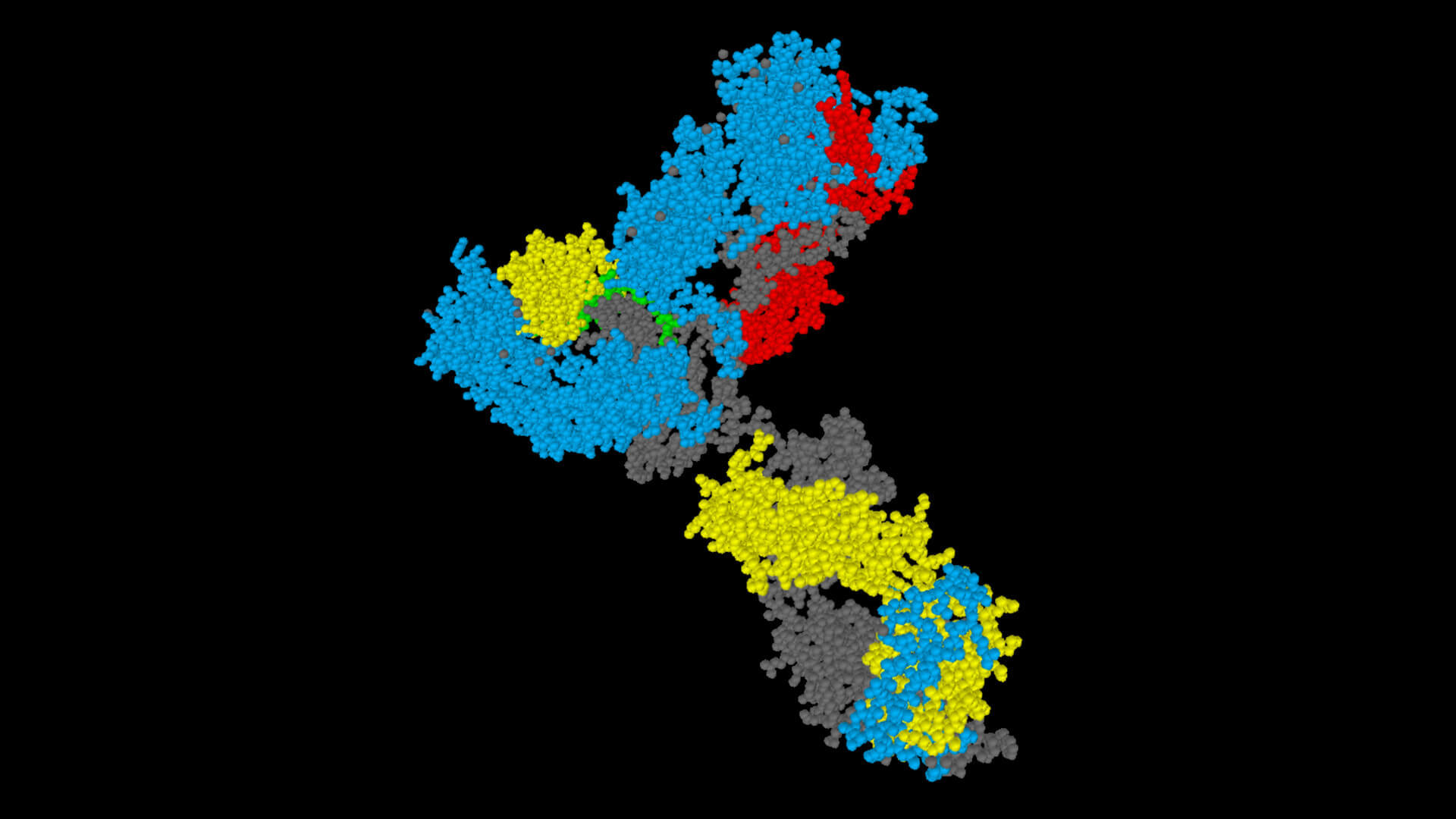 Navigating Large Molecule Data