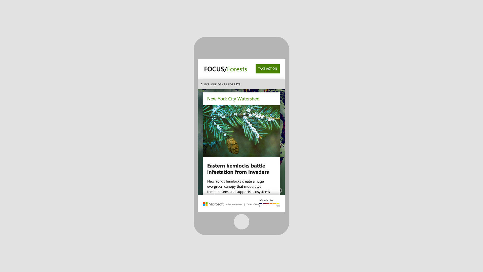 Microsoft project image 12