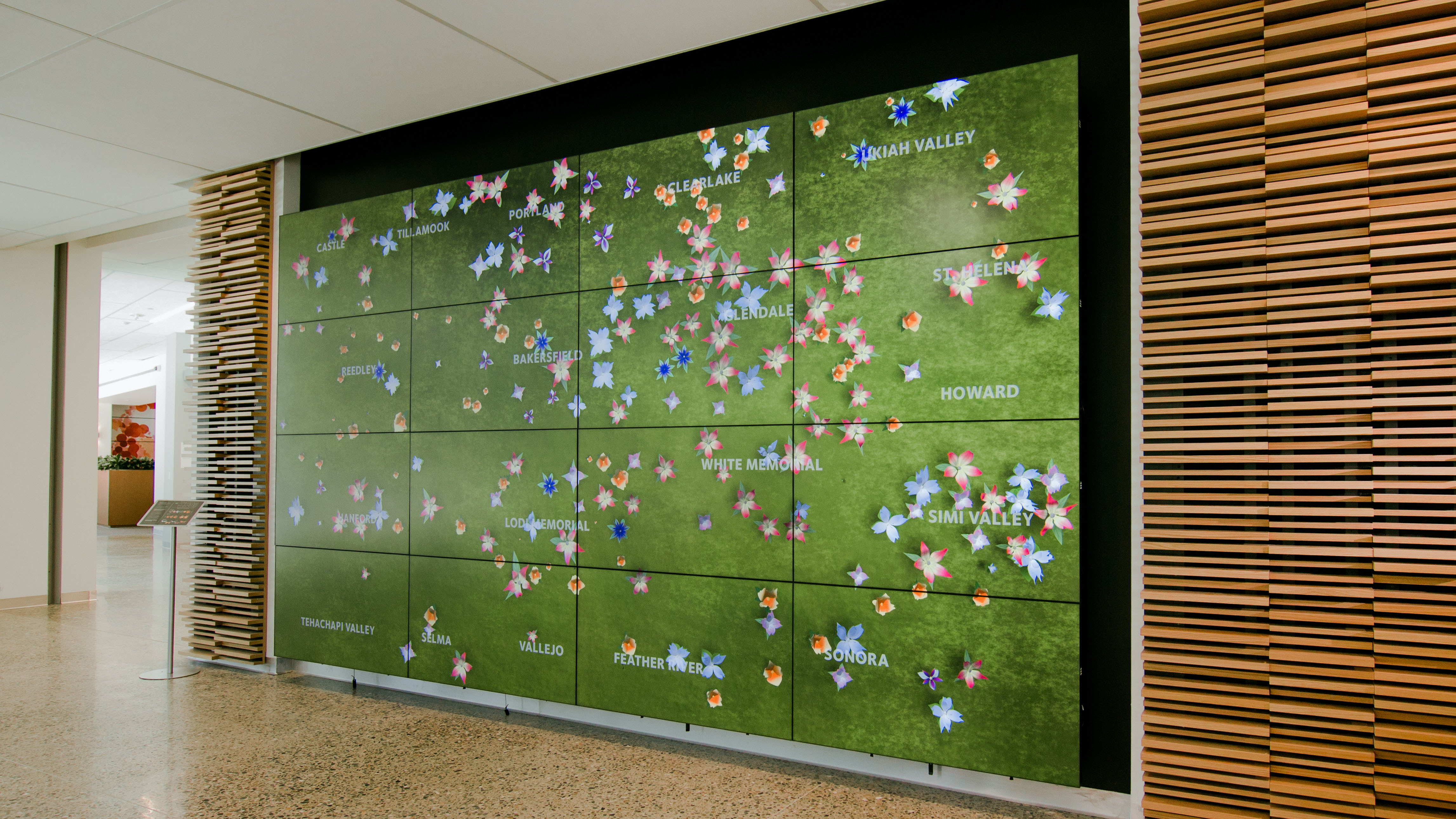 Envisioning Health Networks with Real-Time Data