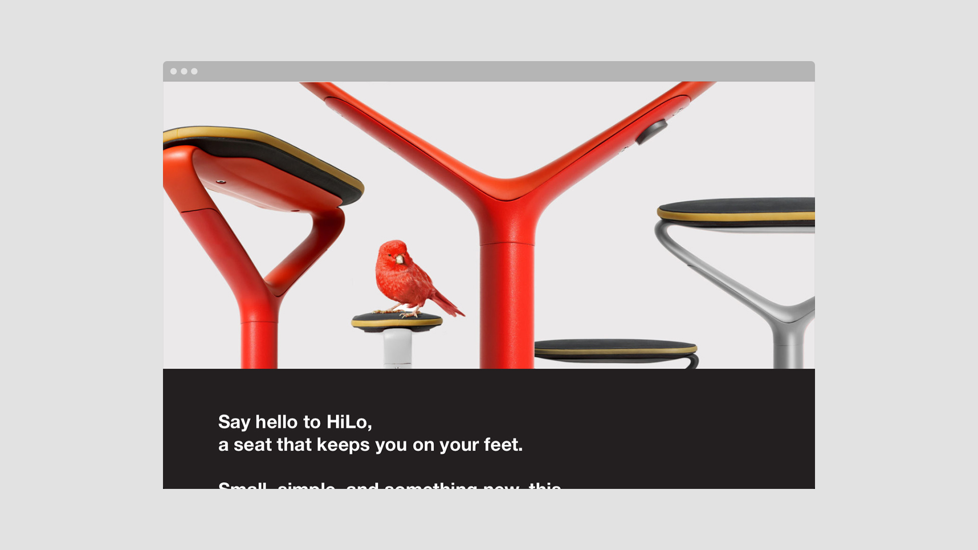 Knoll project image 5