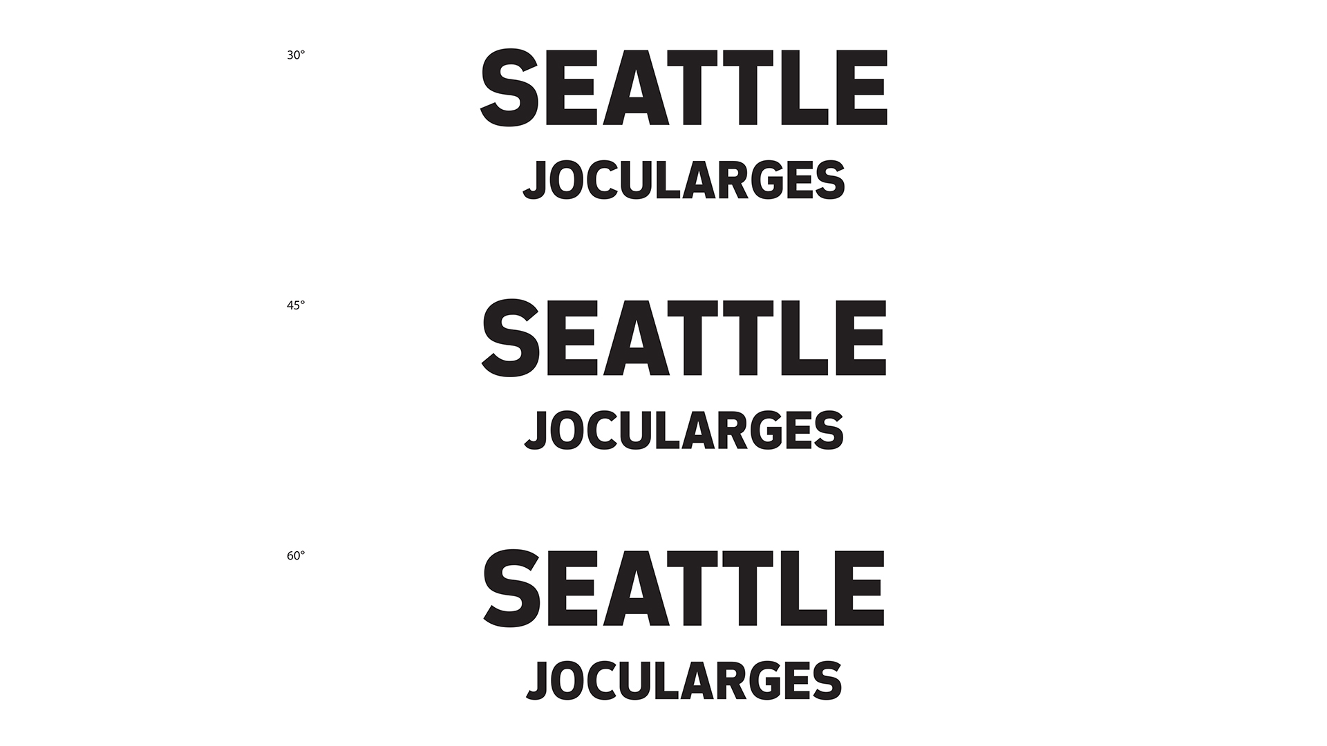City of Seattle project image 11