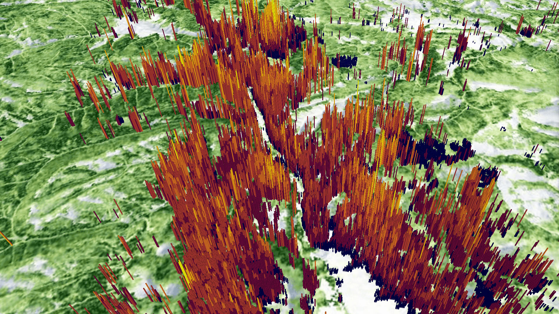 Seeing the Forest and the Trees