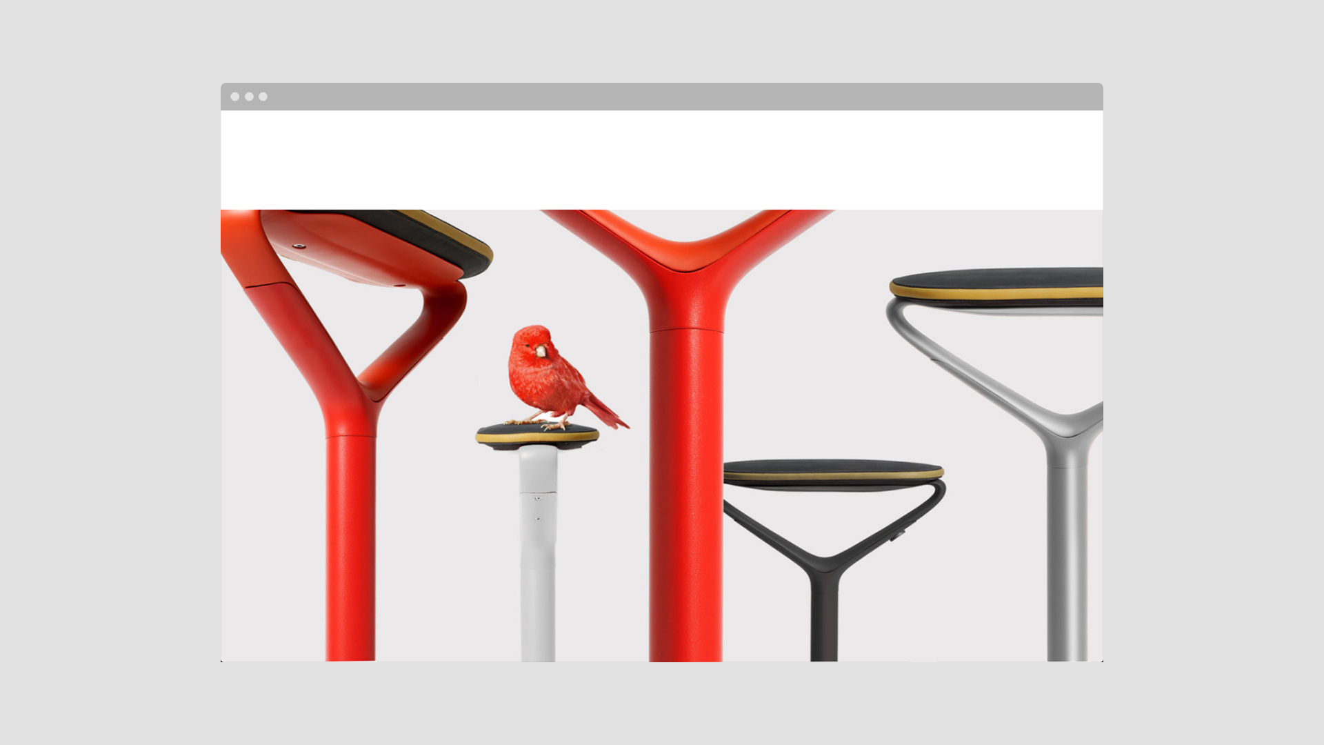 Knoll project image 4